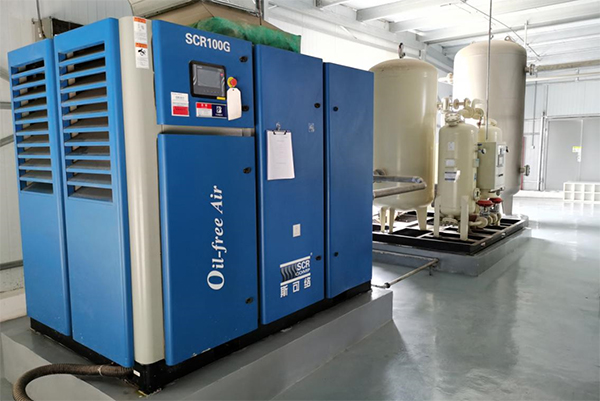 Oil Free Screw Compressor